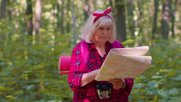 Senior Old Tourist Grandmother Woman Lost and Looking at Map While Having Walk in Wood Outdoors