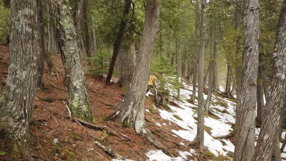 Guy hiking and exploring in a forest covered with some snow, early winter season