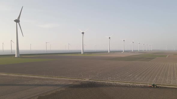 Flock of Birds following Tractor working on field, with wind farm landscape background. Aerial dolly