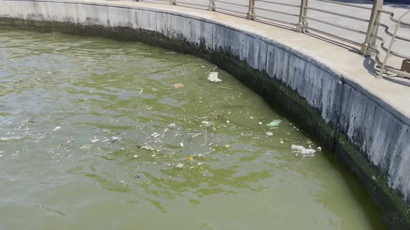 Floating river debris in urban area; polluted waterways a growing concern