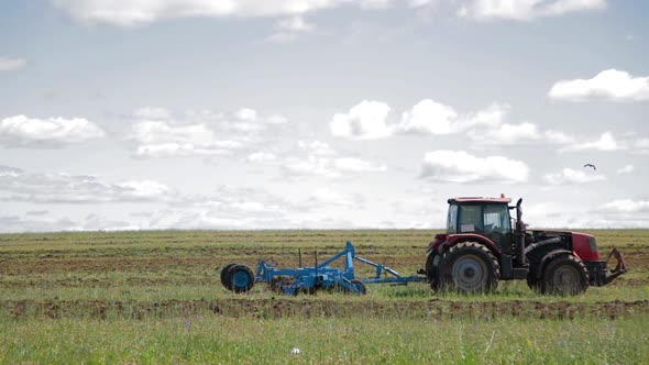 Tractor with Cultivator Loosens the Soil and Destroys Weeds Preparing the Field for Planting