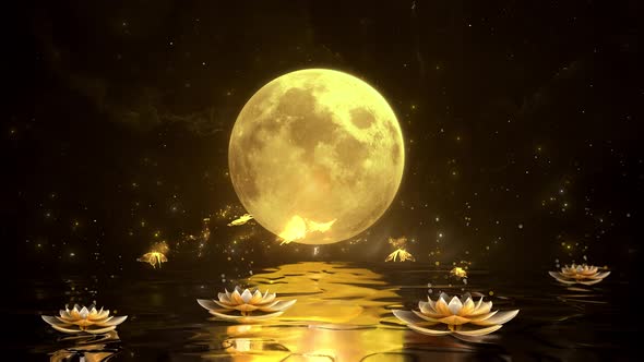 Butterflies On the Water At Night