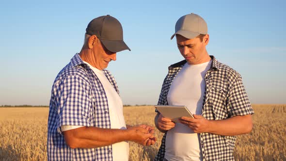 Farmer and Businessman with Tablet Working As a Team in Field. Agronomist and Farmer