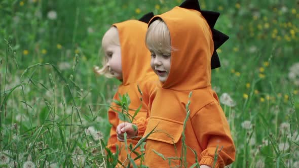 Joyful Little Twin Brothers in Dragon Costumes Play in Tall Grass, Slow Motion