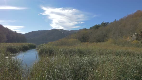 Lake with water reeds in Plitvice National Park