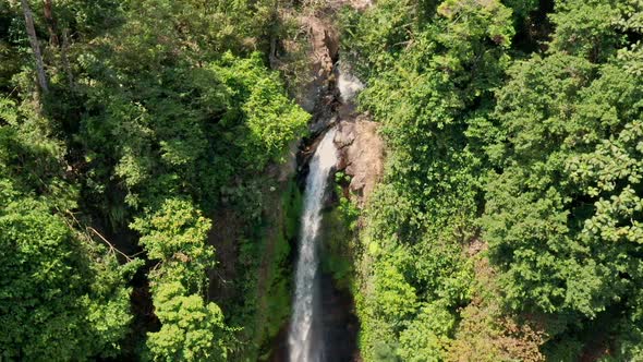 Drone Flight Over Bali Forest To Waterfall