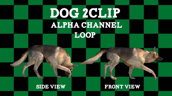 Dog 2 Clip Loop Alpha alt