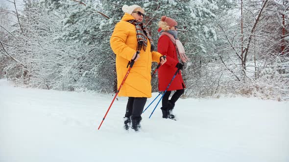 Hiker Practicing Nordic Walking In Forest. Sticks Walking Winter Wood. Nordic Walking Trekking Stick