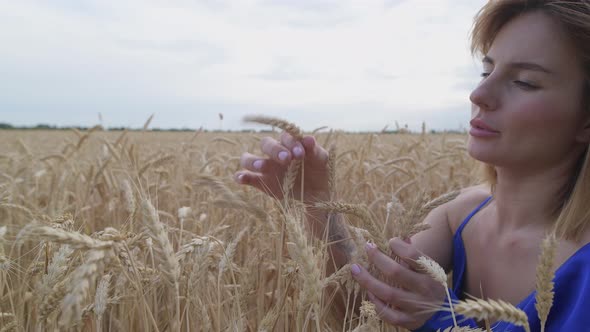 Beautiful Ukrainian Woman Wearing Dress in Ukrainian National Flag Colours Blue and Yellow at Wheat