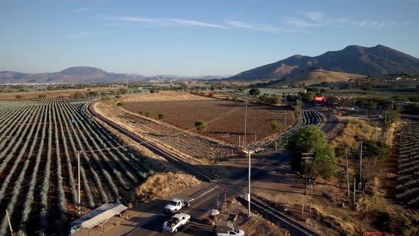 Train Tracks