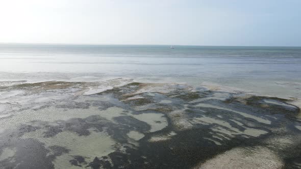 Ocean Low Tide Near the Coast of Zanzibar Island Tanzania