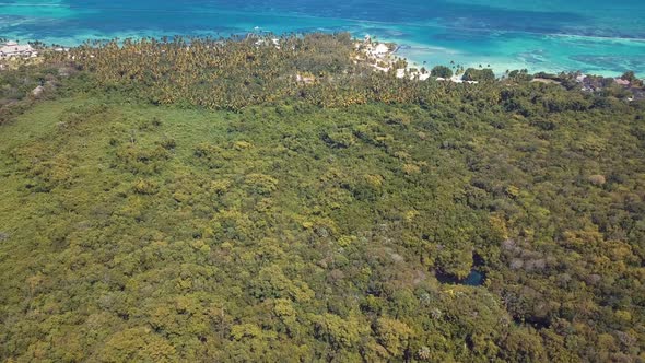 4k 24fps Drone Shoot Of The Forrest In The Caribbean Beach 1