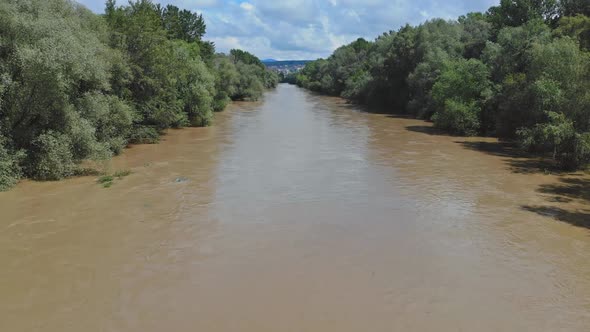 Highwater or High Tide or Spring Flood in of Shore Trees in Water