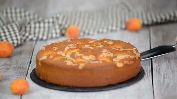 Slice of fresh apricot sponge cake with fruits