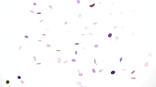 Pink and Purple Holiday Confetti Particles Isolated on White Background Falling