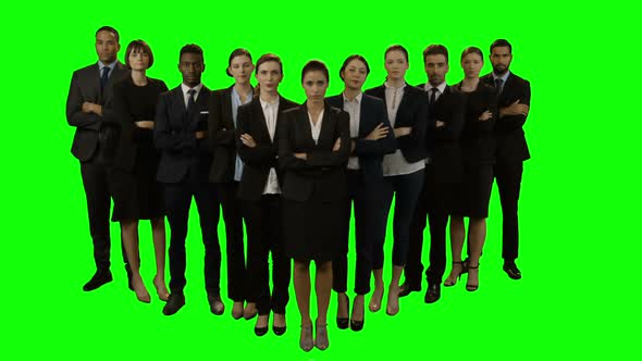 Team of businesspeople standing with arms crossed