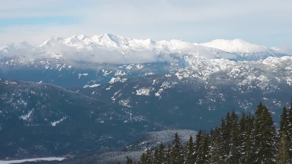 Snowy Forest on Top of the Mountains in Winter During Sunny Morning