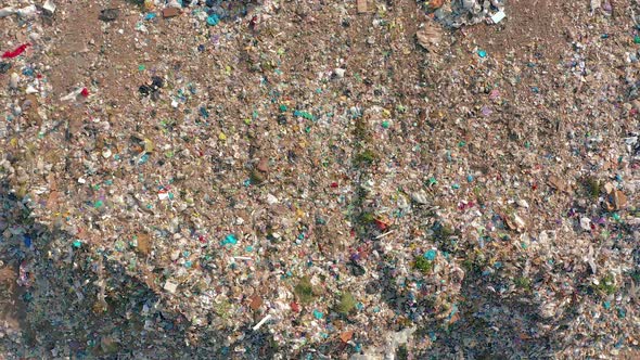 The Huge Garbage Dump, the Ecological Disaster of Our Planet