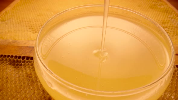 Honey Dripping Pouring From Honey Dipper Into a Glass Bowl Standing on Honeycombs