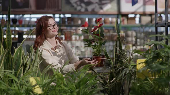 Smiling Woman Buyer in Glasses for Sight Chooses Decorative Plant Creating Comfort in Your Apartment