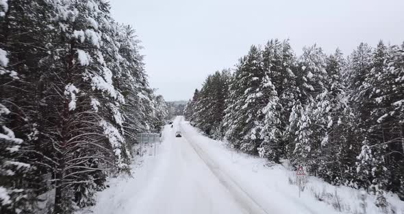 Fly Over the Forest Covered the Snow