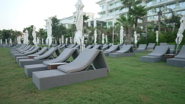 Wide Shot Green Lawn with Comfortable Sunbeds Outdoors at Sunrise