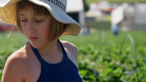 Girl picking strawberries in the farm 4k