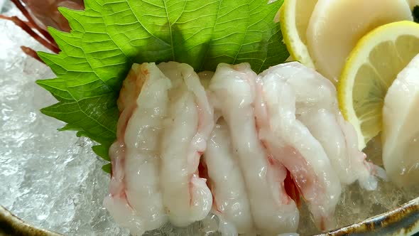 Raw fresh seafood sashimi Japanese food style