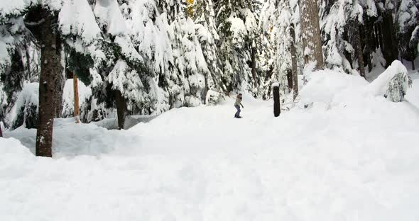 Woman snowboarding through forest 4k