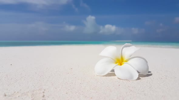 Aerial top down seascape of exotic lagoon beach time by transparent water and white sand background 