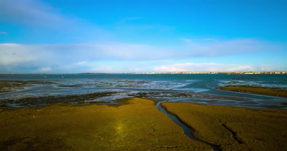 Thickets Against Venetian Lagoon Under Picturesque Blue Sky