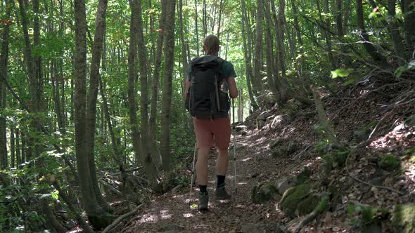 Tourist Man Hiker with Backpack and Trekking Poles Walking in Mountains Forest