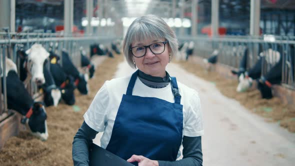 Cow Farm with a Female Worker in Uniform