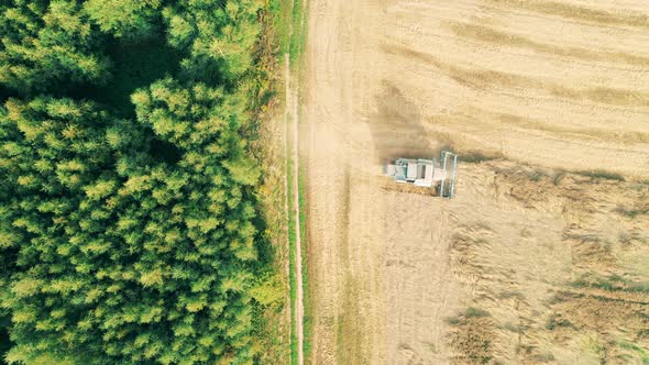 Top View of a Reaping Combine Riding Along a Field Near a Forest