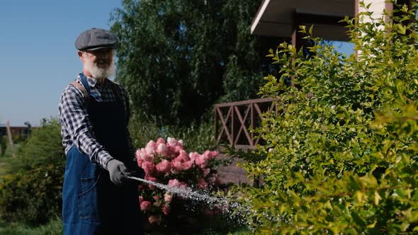 Retired Grandfather Takes Care of Plants Watering Trees in the Garden Near the House