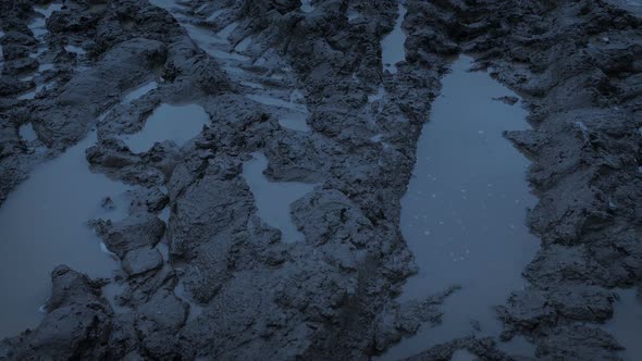 Big Tire Tracks In The Mud