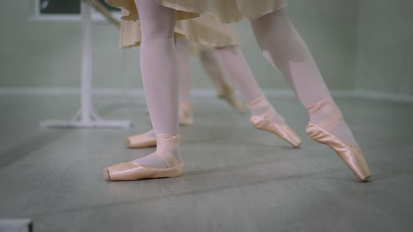 Front View Female Legs in Pointes Performing Tendu Ballroom Movement