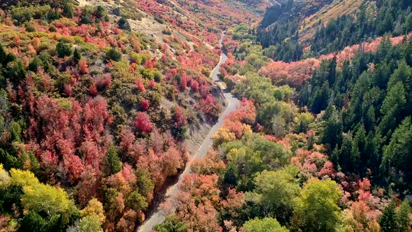 Country road winding through colorful forest during Fall