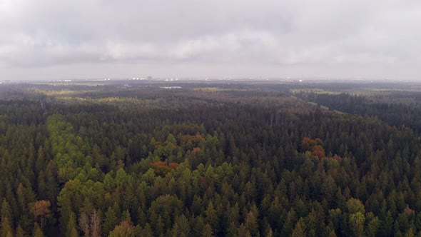 Sunlight and shadows at the treetops of a autumn colored forest with the bavarian metropole Munich i