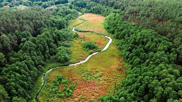 Winding river in autumn. Aerial view of wildlife in Poland