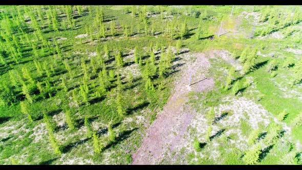 Arctic in summer from drone