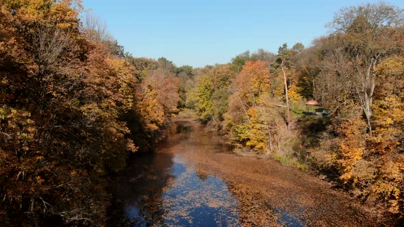 Flying Over Lake in Autumn Park on Sunny Day