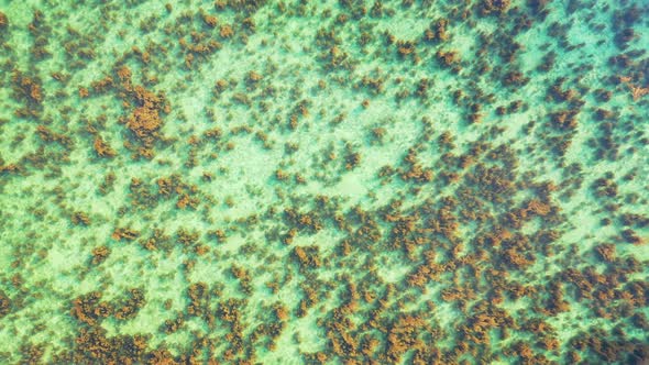 coral bleaching caused by global warming and over-average ocean temperature.Abstract aerial tropical