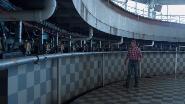 Livestock Worker Walking Dairy Facility