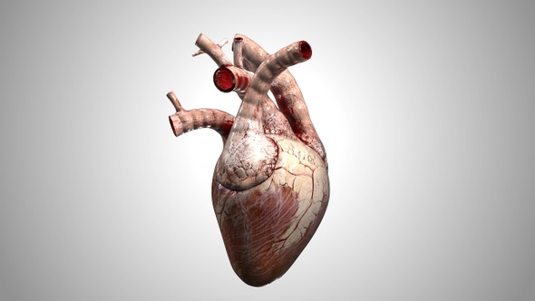 Heart Grungy Shot 02 alt