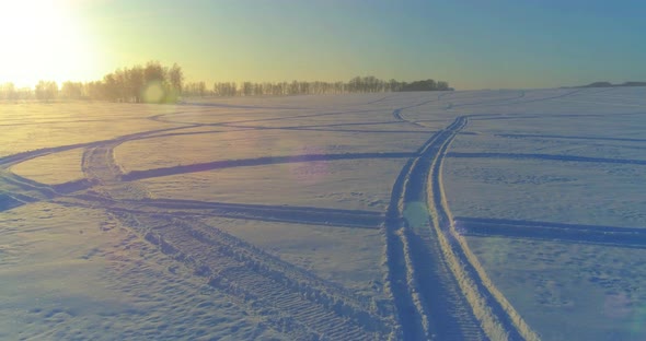 Aerial Drone View of Cold Winter Landscape with Arctic Field Trees Covered with Frost Snow and