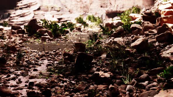 View From Cave to the Light