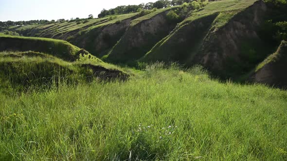 Green Grass Moves in the Wind Against the Backdrop of High Mountains