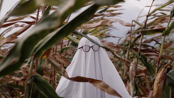 Ghost in glasses on corn field in autumn