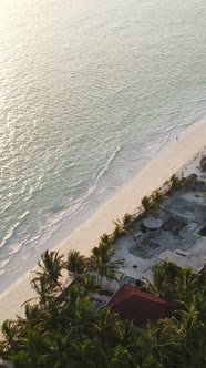 Vertical Video of the Beach on Zanzibar Island Tanzania